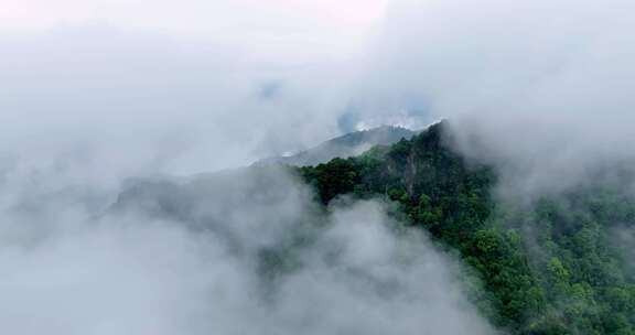 广西山区竹林竹海竹山云海翻滚航拍