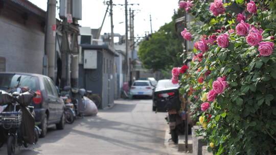 北京老城区老胡同街道生活场景旧城区