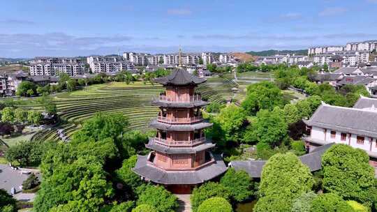 俯瞰梯田式茶园与周边建筑