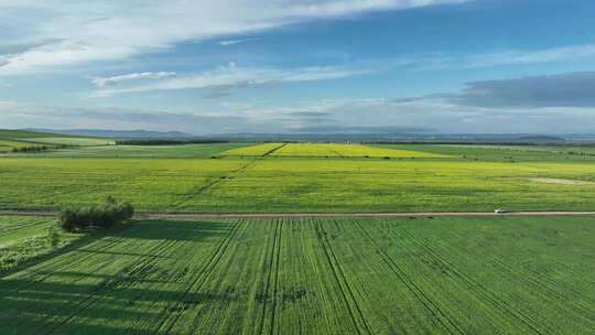 呼伦贝尔田园风光自然景观