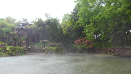 阴天小雨中的园林庭院降雨竹林雨中古建筑