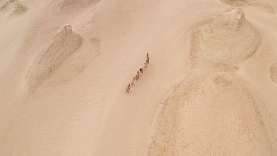 雅丹地貌上行进的骆驼队伍