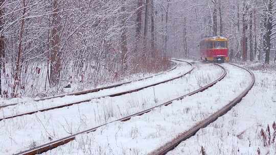 森林中的铁路。