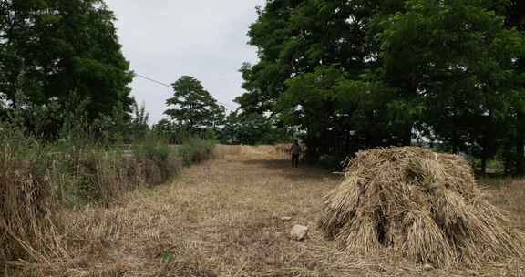 甘肃农村土坏房