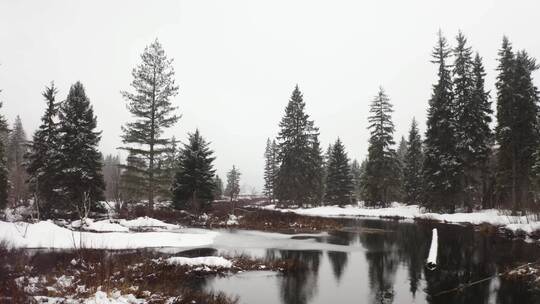 雪林中的一条河流