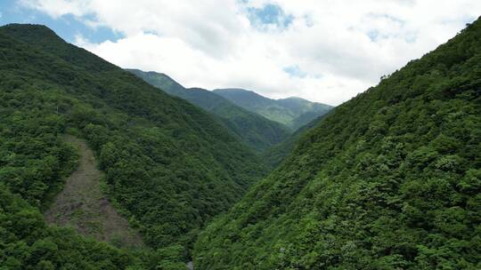 湖北神农架5A景区官门山