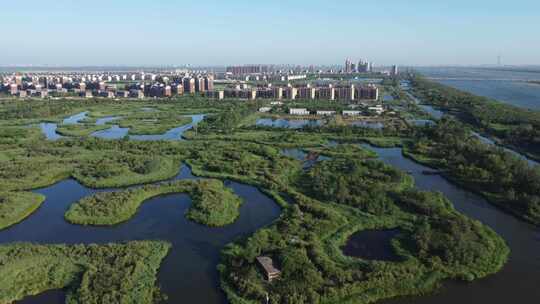 天津市静海区团泊镇生态乡村风光