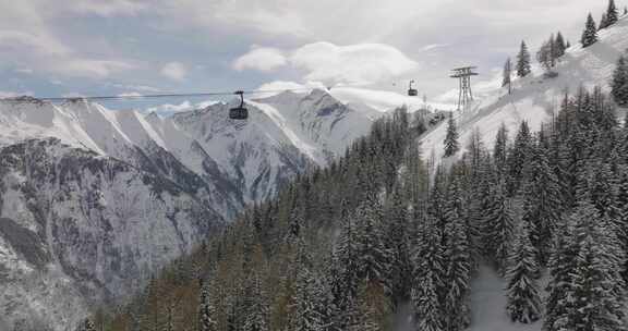 基茨斯坦霍恩山，奥地利，雪，树