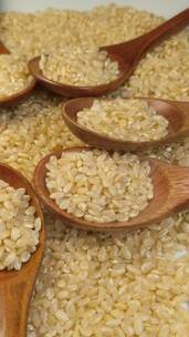 4K糙米大米粮食