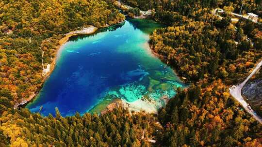 【合集】四川阿坝九寨沟秋色秋景航拍实拍