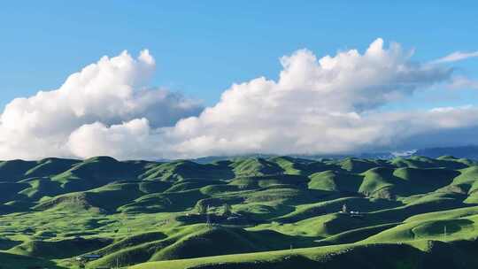 新疆伊犁唐布拉百里画廊大草原