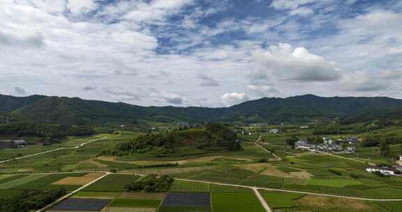 【6段延时】福建茶园茶山茶田航拍合集