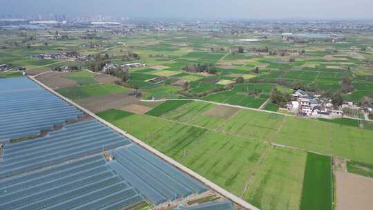 天府四川、成都平原、德阳广汉乡村