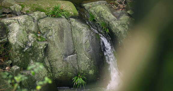 大自然 山野 小溪 苔藓 