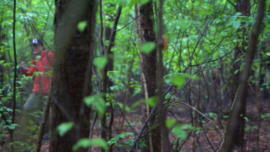 登山密林穿越丛林探险户外健身东北山林徒步