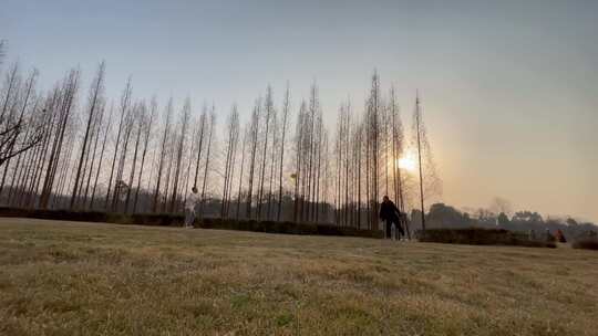 落日余晖草坪家人玩飞盘3