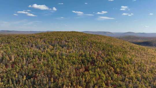 大兴安岭森林秋季风景航拍