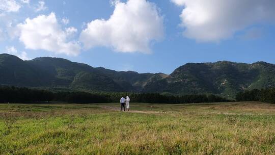 山里的风景