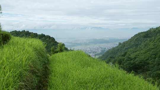 加德满都，尼泊尔，山，草