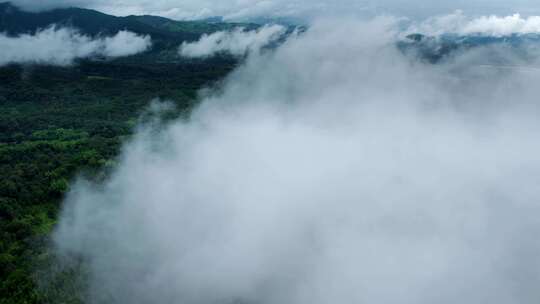 自然森林穿过云雾绿水青山航拍视频