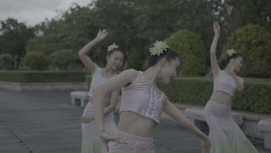 女生户外傣族舞群舞民族舞slog3灰片视频素材模板下载