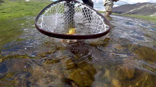 在科罗拉多州的高山湖里捕鳟鱼视频素材模板下载