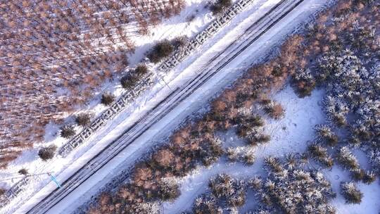 冬日航拍积雪覆盖下的树林和道路