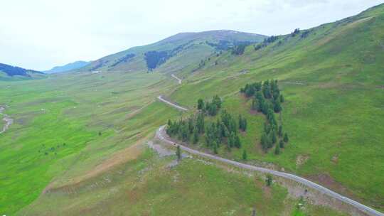 新疆北疆阿勒泰草原公路风景航拍