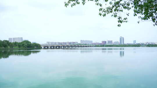 武汉江夏区藏龙岛国家湿地公园