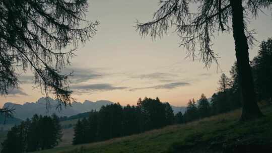 Alpe Di Siusi，白云石，山，