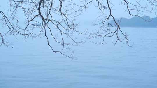 杭州雾西湖江南风景