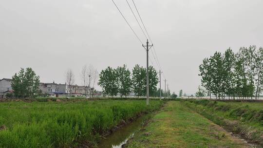 农村菜园房屋绿色植物