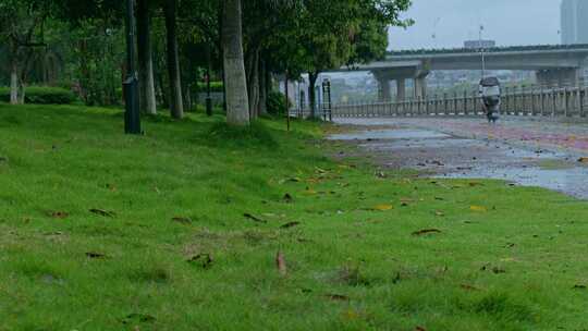 下雨雨水雨天雨滴出行