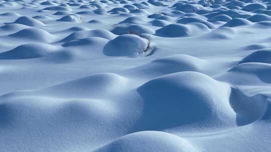 寒冬湿地草甸雪包雪景