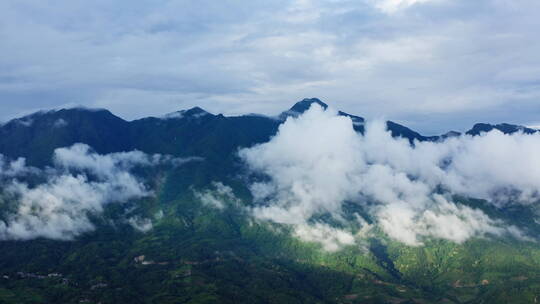 雨后雨雾缭绕、光影斑驳的高黎贡山