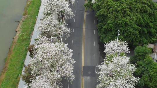 航拍城市风景