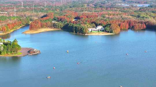 上海奉贤海湾国家森林公园