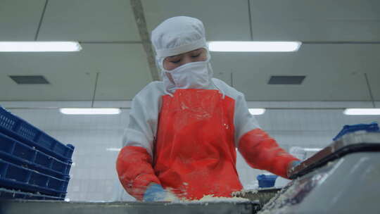 海参加工生产线工人在流水线上处理海鲜制品