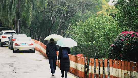 唯美的雨景【商用需购买企业授权】