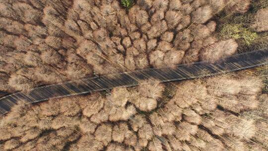 重庆两江新区云计算中心