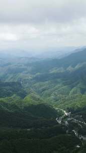 竖版航拍湖北神农架天燕景区4A景区