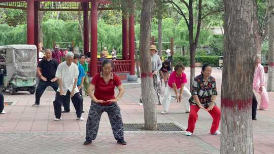 公园锻炼身体的老年人1