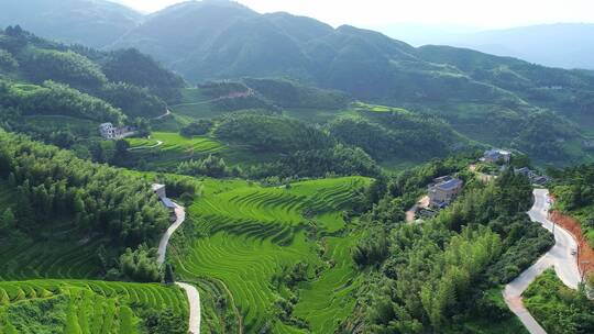 航拍遂川绿色梯田