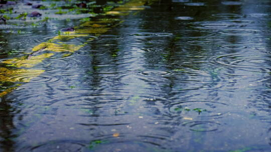 下雨街道