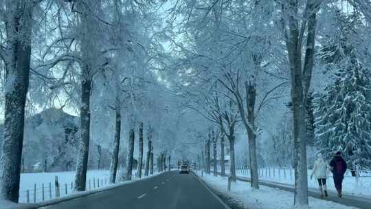 大雪后的路边道路雾凇