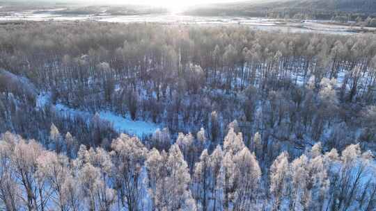 航拍雪原阳光树林雾凇