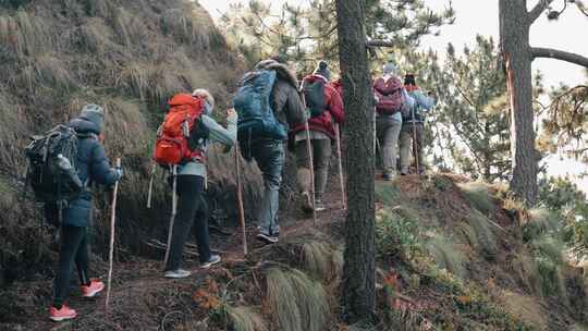 背着背包的徒步旅行者带着棍子上山