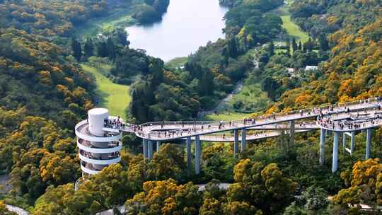 厦门山海健康步道上李水库