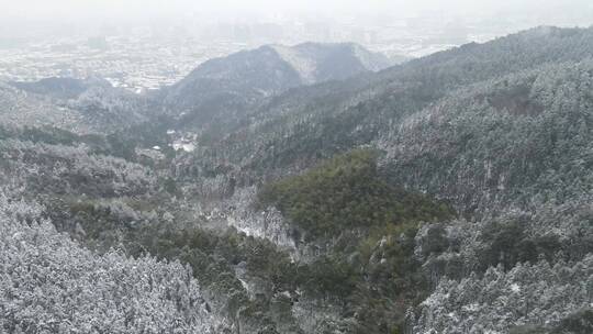 航拍冬天森林雪景