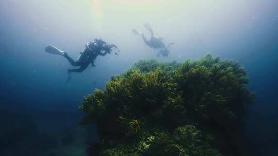 潜水员潜入海底探索